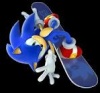 Sonic ski